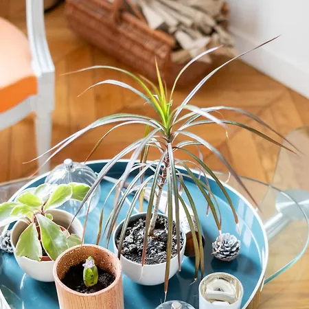 Дом отдыха Veeve - Seagull's House *